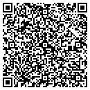 QR code with Professional Process Serv contacts