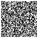 QR code with Prudent Option contacts