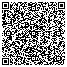 QR code with Blaze Business Systems contacts