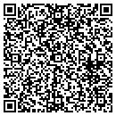 QR code with Cytek Systems Group LLC contacts