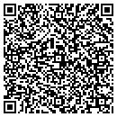 QR code with Blue Arrows Pools contacts