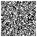 QR code with Carson Consulting Inc contacts