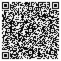 QR code with Digital Island contacts