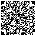 QR code with Willis Fin Systems contacts