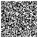 QR code with Proactive Interactive contacts