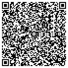 QR code with Plastic Steel Tin Corp contacts
