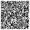 QR code with Cvg Mwc contacts
