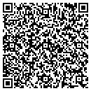 QR code with Public Storage contacts