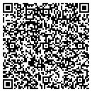 QR code with Puppets To Go contacts