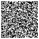 QR code with Protojet L L C contacts