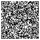 QR code with Prgeeks Com contacts