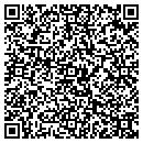 QR code with Pro AV Solutions LLC contacts