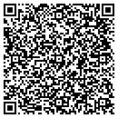 QR code with Pulsar Productions Inc contacts