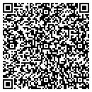 QR code with Big Picture Science contacts