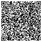 QR code with Cirrus Digital Systems contacts