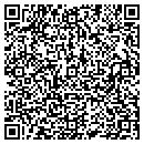 QR code with Pt Grey Inc contacts