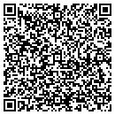 QR code with Puget Sound Video contacts