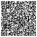 QR code with Pyramind Inc contacts