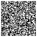 QR code with Blue Vibe Inc contacts