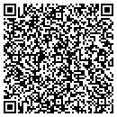 QR code with Colt Technologies LLC contacts