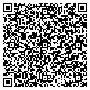 QR code with Pyramid Studios contacts