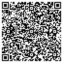 QR code with Pro2 Solutions contacts