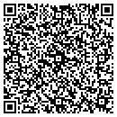 QR code with Practical Systems Inc contacts