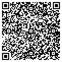 QR code with Tavac contacts