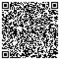QR code with Newco contacts