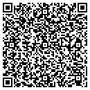 QR code with Psyche Systems contacts
