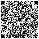 QR code with Amerilink Network Inc contacts