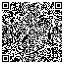 QR code with Pro Systems contacts