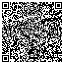 QR code with Boy Scout Troup 528 contacts