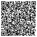 QR code with Skw CO contacts
