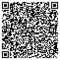 QR code with Padf contacts