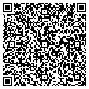 QR code with Project Apex contacts