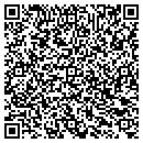 QR code with Cdsa Of The Blue Ridge contacts