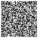 QR code with Controls & Power Inc contacts