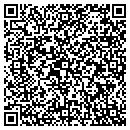 QR code with Pyke Mechanical Inc contacts