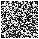 QR code with Project Echo contacts