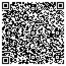 QR code with Clinton County Board contacts