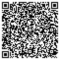 QR code with Pflag contacts