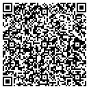 QR code with Consumer Ins Network contacts