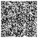 QR code with Practical Solutions contacts