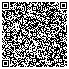 QR code with Blue Valley Industries contacts