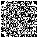 QR code with Pyramid Concepts Inc contacts