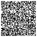 QR code with Carpenters Local 234 contacts