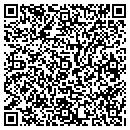 QR code with Protection that Pays contacts