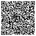 QR code with N4life contacts
