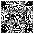 QR code with Cdv Properties LLC contacts